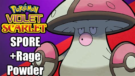 Amoonguss Competitive Guide for VGC with Damage Calcs.